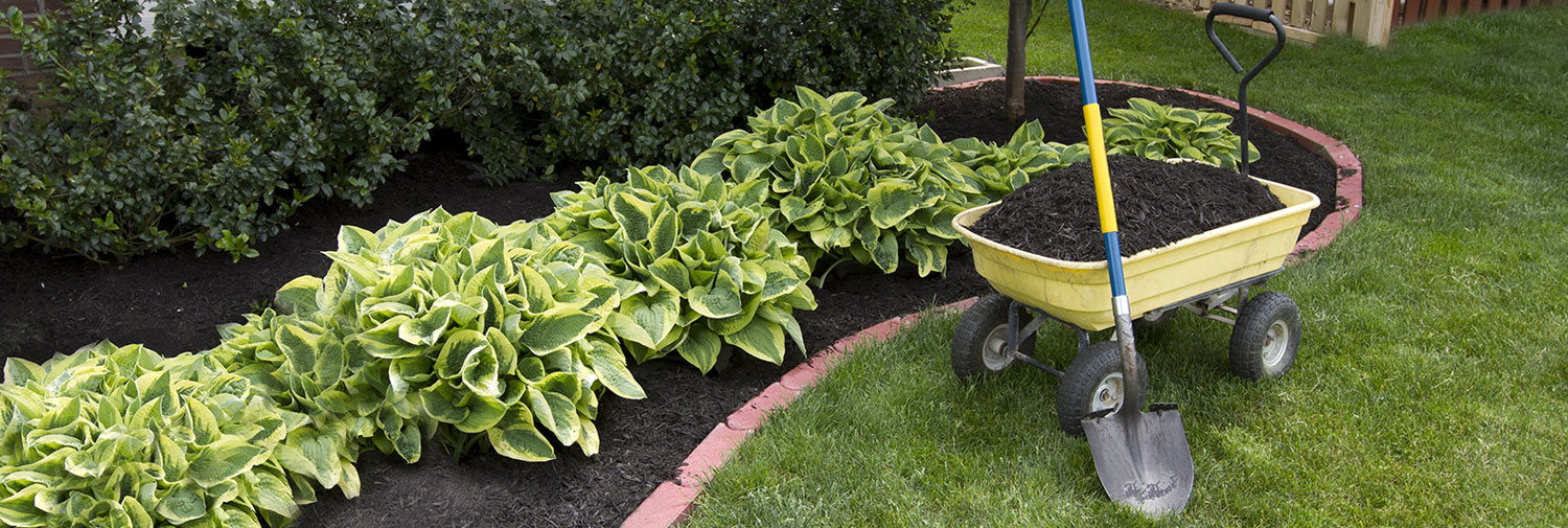 Mulch & Wood Chips