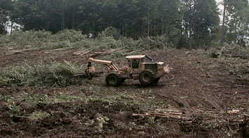 Land Clearing Services